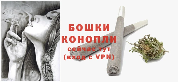 трава Наволоки