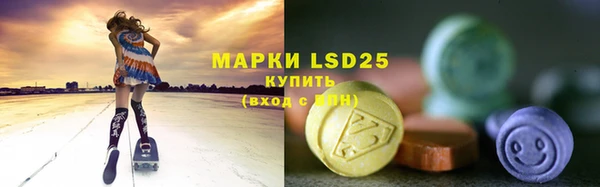амф Надым