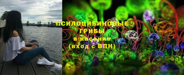 амф Надым