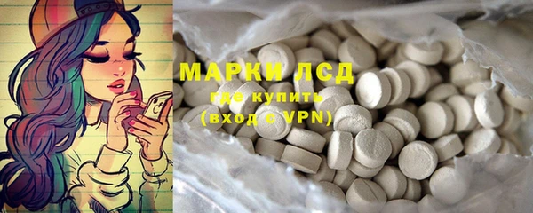 трава Наволоки