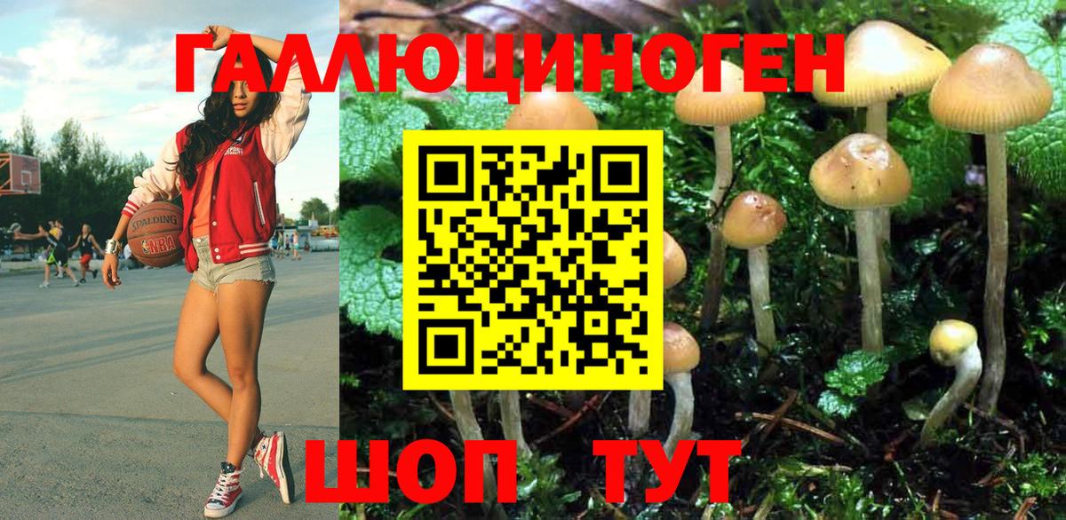 Галлюциногенные грибы Cubensis Красный Сулин